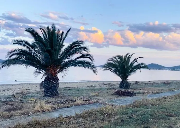 Coastline